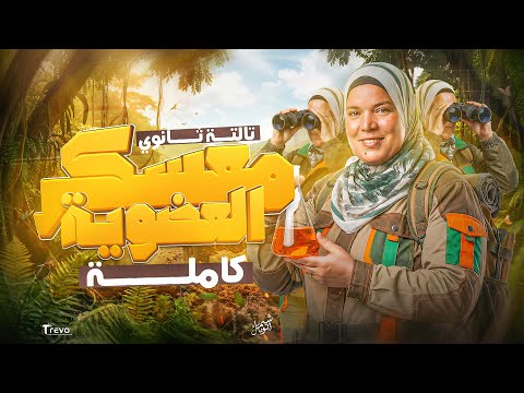 ورشة مراجعة الباب الخامس كيمياء الكيمياء العضوية بالكامل تالتة ثانوي 2026 مع شيماء أيوباك 