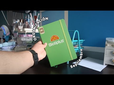¿Como me organizo hoy en día? | Yo Soy Sofia |