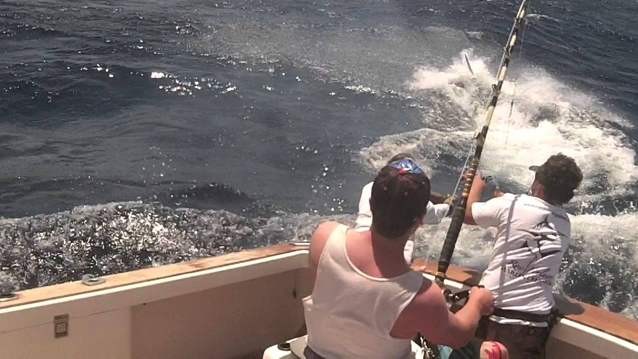 Cairns Black Marlin Fishing TOP SHOT, 2012 YouTube