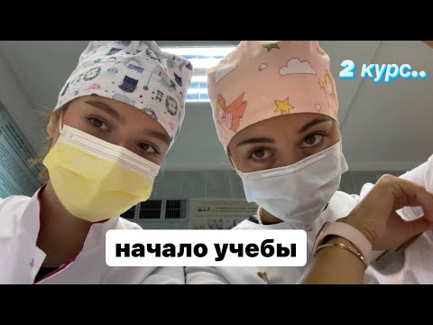 первая неделя на 2 курсе в медицинском *стомат факультет*