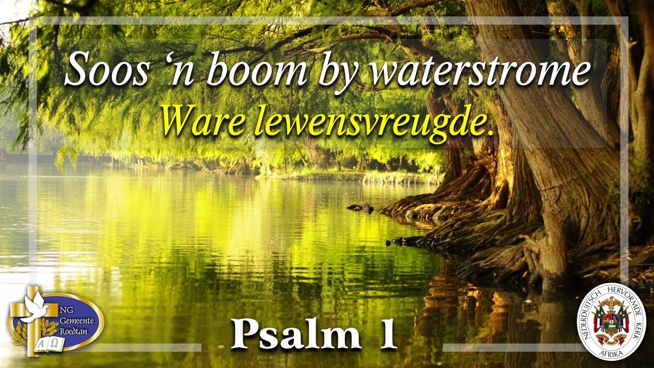 Psalm 1 Soos n Boom By Waterstrome YouTube