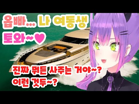 토와가 여동생이면 뭐든 사줄 수 밖에 없잖아? 그게 토와니까... 끄덕.【홀로라이브-토와】