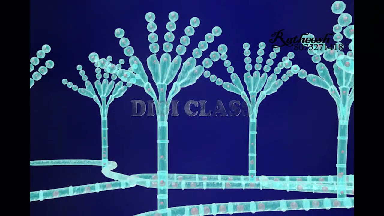 Reproduction of Pencilium Animation