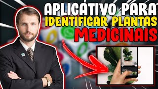 🔎 (*OLHA ISSO*) Aplicativo GRATUITO para saber o nome de tudo, inclusive plantas medicinais screenshot 1