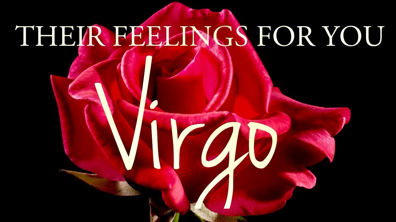 VIRGO tarot love ♍️ Someone With Whom You Will Be In A Loving Relationship 💕 It’s Important Virgo