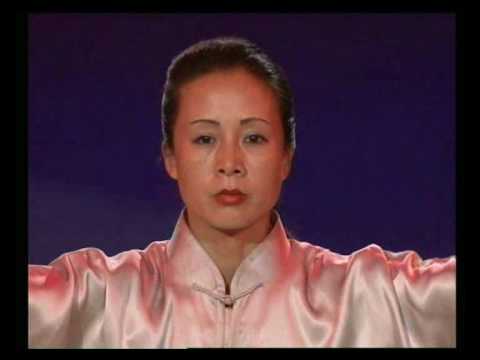 Matre Zhang xiao yan, Bercy 2001