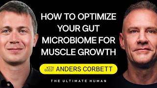 Anders Corbett: On “Crafting” Your Gut Microbiome, Probiotics, and Hormone Optimization | TUH #233