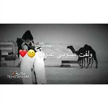 جديد شلية قلطني ورحب بي يجرحي♥ـوياطبي جيتك حبي يا حبي