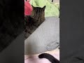 お尻の振動が凄いオナラが出た結果…💩 #shorts