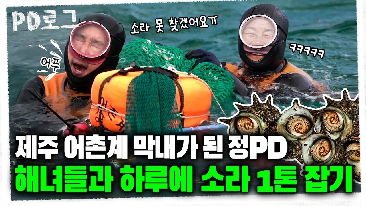제주 어촌계 막내가 된 정PD, 해녀들과 하루에 소라 1톤 잡기 | PD로그 | 79화 이어도사나, 제주 해녀