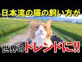 これが日本の猫の飼い方か【海外の反応】