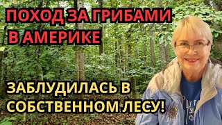 :     .    !   .