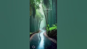 "الذين يذكرون الله قياما وقعودا وعلى جنوبهم" سورة ال عمران القارئ الشيخ سعد الغامدي. 🥺