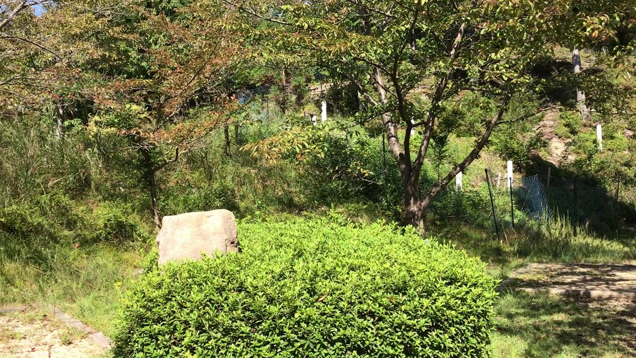 徹底解説 高取山ふれあい公園を利用した我が家がキャンプ バーベキューハウス バンガローを詳しくブログで紹介 ｋｕｔｉｋｏｍｉ