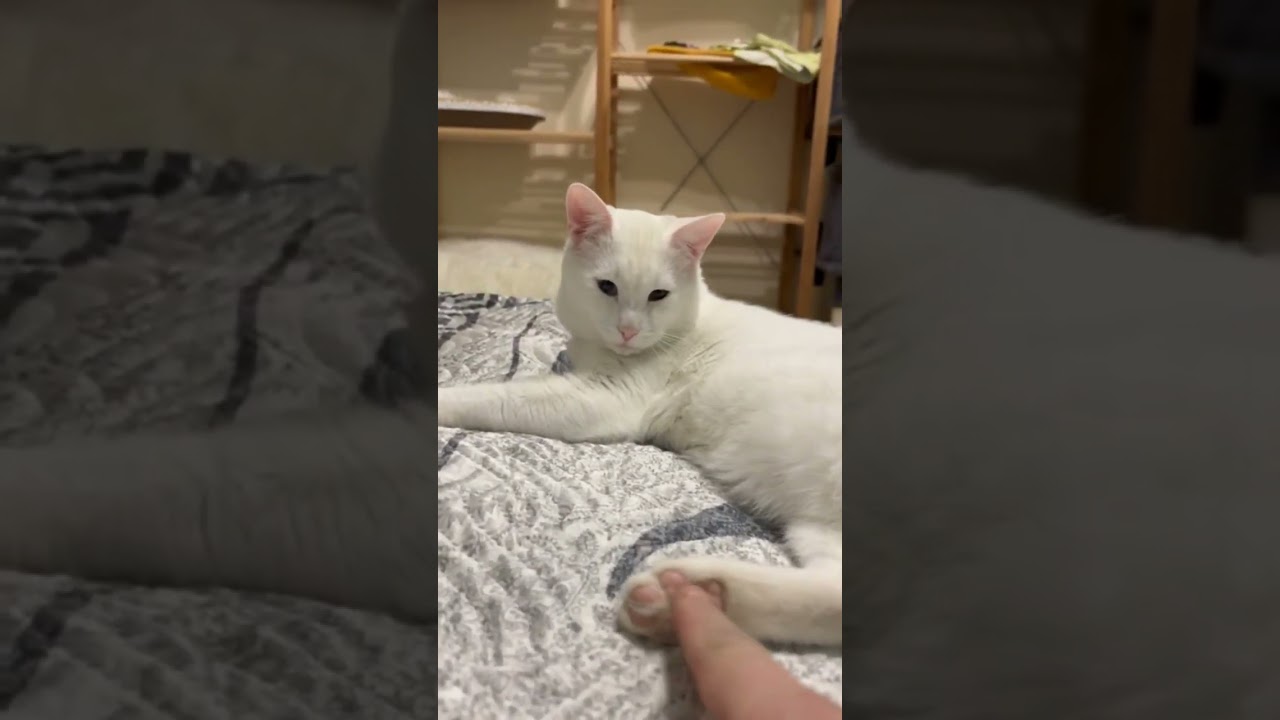 Делись добром 