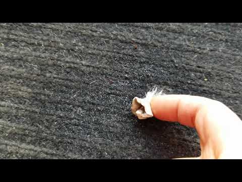 Simple way to take gum off carpet!// 카펫에서 껌을 빼는 간단한 방법!