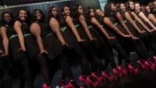 SHSU Theta Epsilon Chapter of Alpha Kappa Alpha Fall 2013 Probate