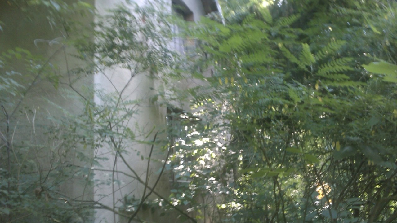 Dubovac - Slatina vikendica Dunav