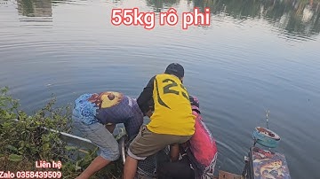 Fishing | Câu Đài | Câu 55kg Cá Rô Phi Hồ Dịch Vụ Câu Lên Thả Xuống | Nghiện Câu TV