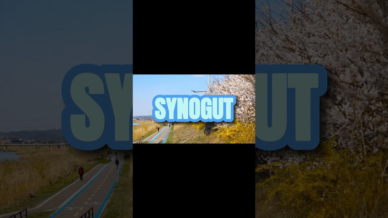 SynoGut – Say goodbye to unnecessary discomfort today!!!