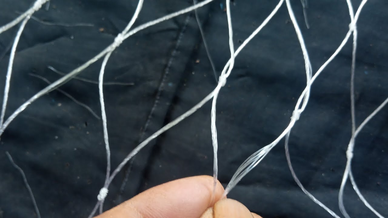 Luar Biasa😲😲😲Jaring Thailand Berlapis 10