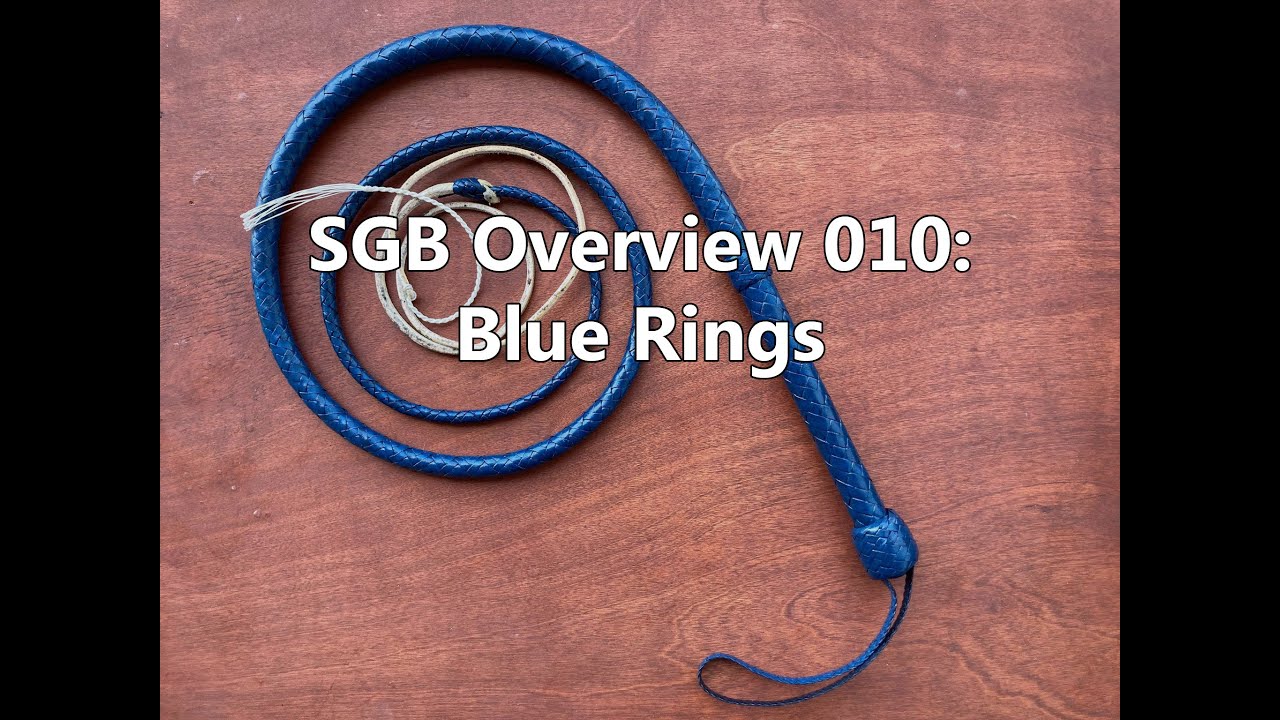 SGB Whip Project Overview 010: Blue Rings