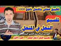 تقسيم النحل في نفس المكان كيفية تقسيم النحل في نفس المنحل أسهل طرق التقسيم في المنحل الجزء الاول تقسيم النحل في نفس المكان كيفية تقسيم النحل في نفس المنحل أسهل طرق التقسيم في المنحل الجزء الاول