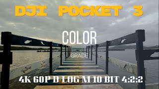 Dji Osmo Pocket 3 - COLOR GRADE D-LOG M 10 BIT in low light.