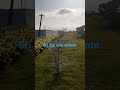 CRDA LAYOUT PORANKI 7569997777