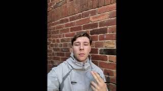 teedee - pull up to mi bumper