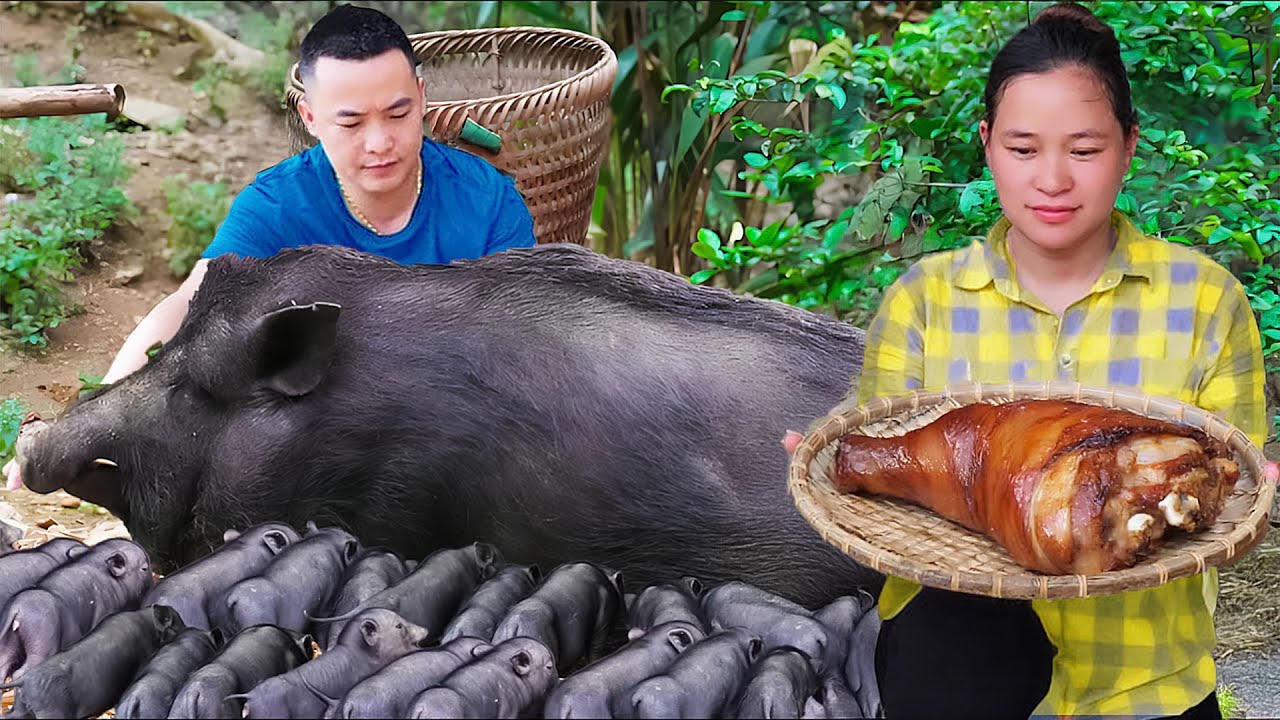 How to Cook food for Giant Pigs With Husband , Making Grilled Pork Legs | Ly Thi Ca