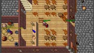 Tibia Wizard Outfit