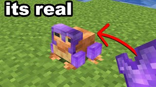 I Busted 54 Popular Myths In Minecraft 1.19...