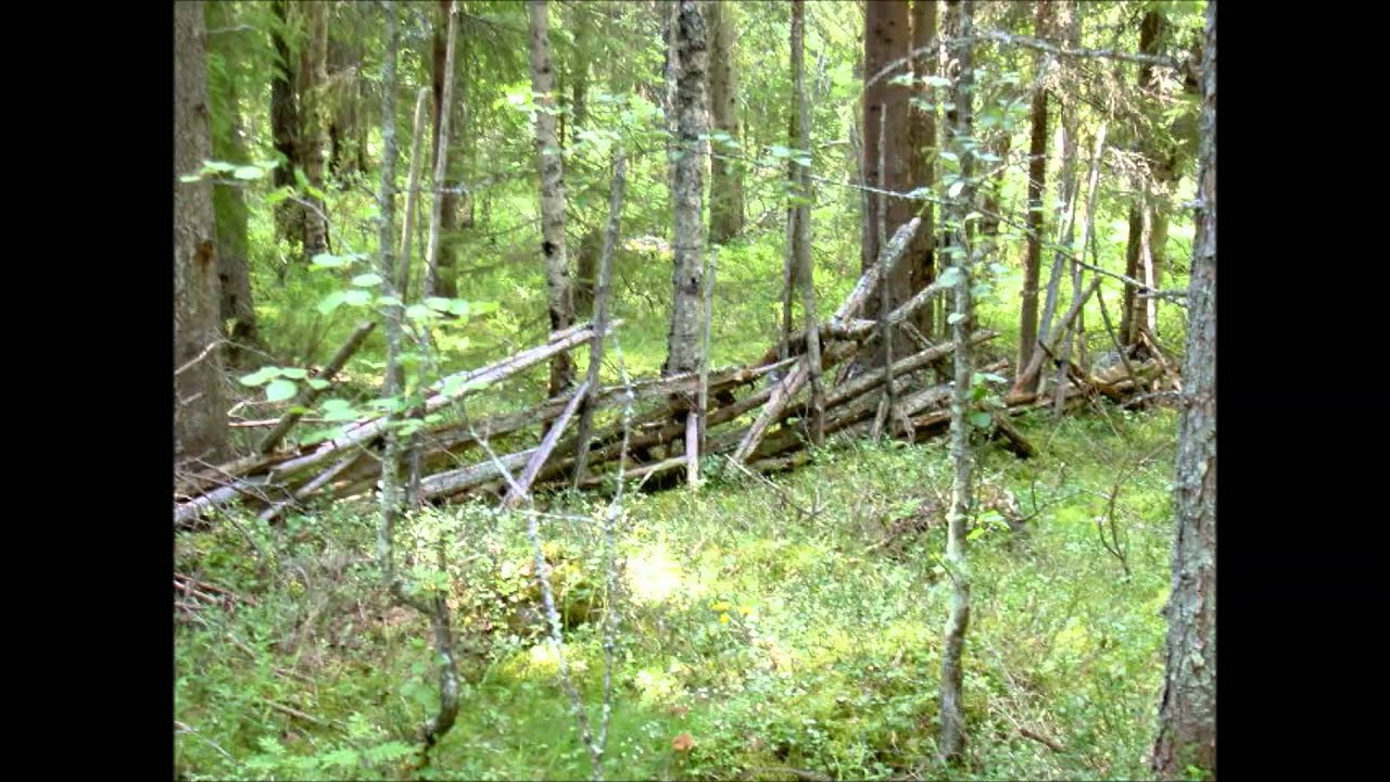 Tjärnmyrbergarn  - Det är hit man kommer när man kommer hem