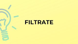 What Is The Meaning Of The Word Filtrate?