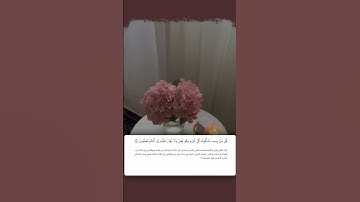 شيخ رعد الكردي حالات واتس اب | سورة (المؤمنون: ٨٨)