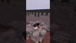 [Vectaria.io] Ronaldo Fan bother me, I hit him to hospitalized #vectaria  #vectariagame #minecraft