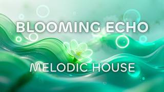 Melodic House for Relaxing & Quiet Evenings | Blooming Echo | Alira EchoWave