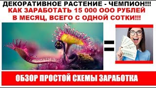 видео Лучшее вложение, которое вы можете сделать