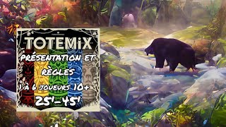 Totemix - Le Crapaud Celeste - Maître Renard, jeux de société, éveil,  jouets & création