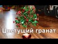 "Цветущий гранат" из пайеток.