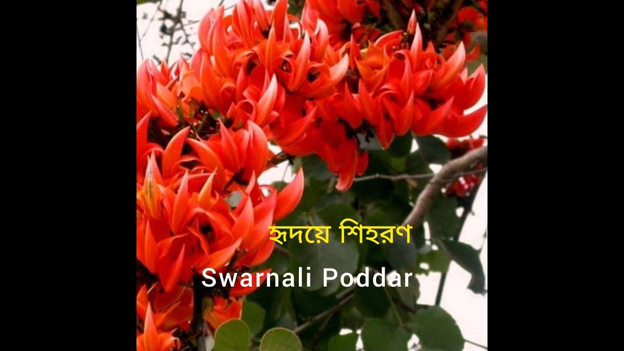 Hridaye E Shiharan     Haimanti Shukla  Swarnali Poddar