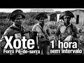 🪗 1 hora de Xote | Forró Pé de Serra | Sem Intervalo | Pra dançar sem parar | Brasil Canal Musical