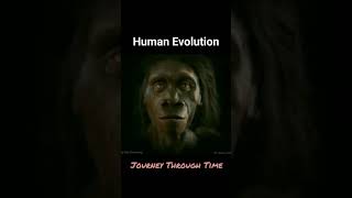 It shows an simulation of Human Evolution | Origin of Human Life (HOMO SAPIENS)