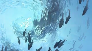 ever changing tides Profile