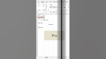 Excel Format Painter | Excel Tips and Tricks #shorts
