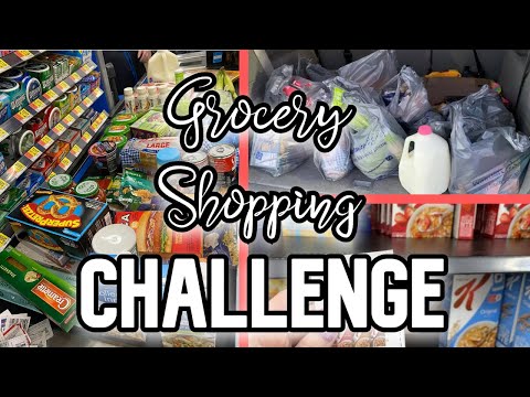 GROCERY SHOPPING CHALLENGE | Less Than $50 For a Family of Four | WALMART