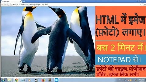 HTML me image kaise lagaye|how to add image in html img tag | learn html episode-2|| by tech forever