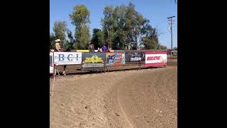 Mister Cash Flo &amp; Ruby running at CN  quarter horses event.