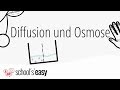 Diffusion und osmose  wie gehts